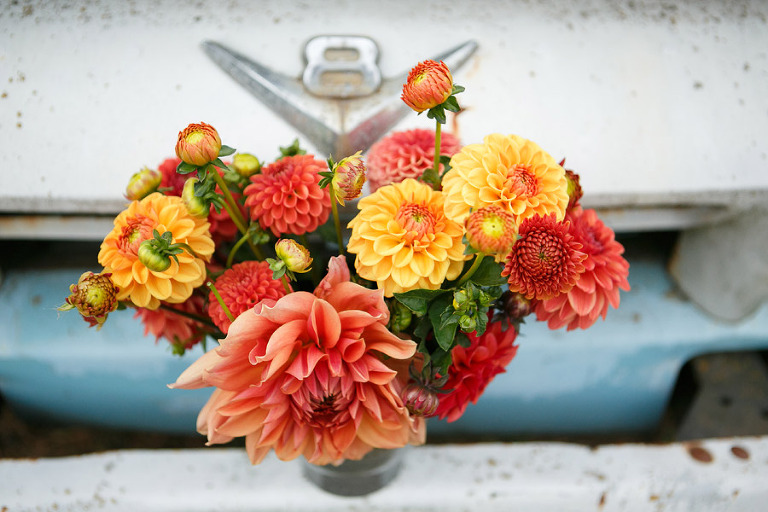 125-DundeeOregonPhotographer