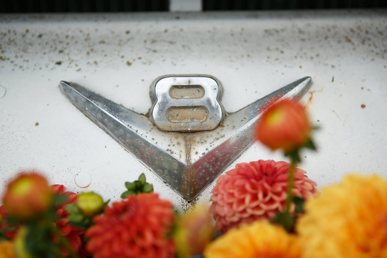 128-DundeeOregonPhotographer