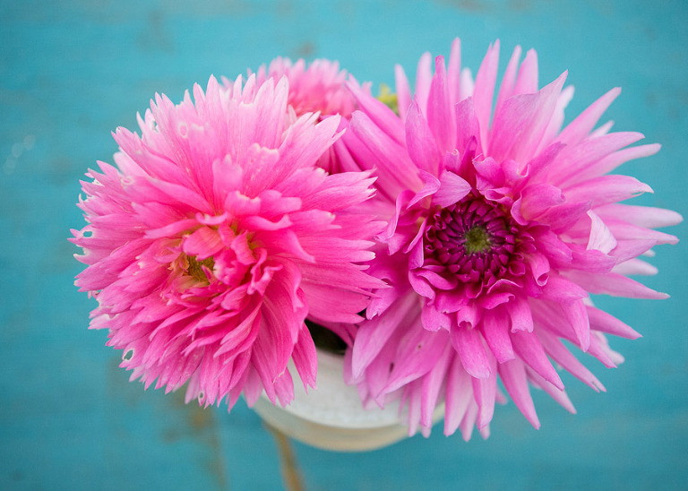 129-DundeeOregonPhotographer