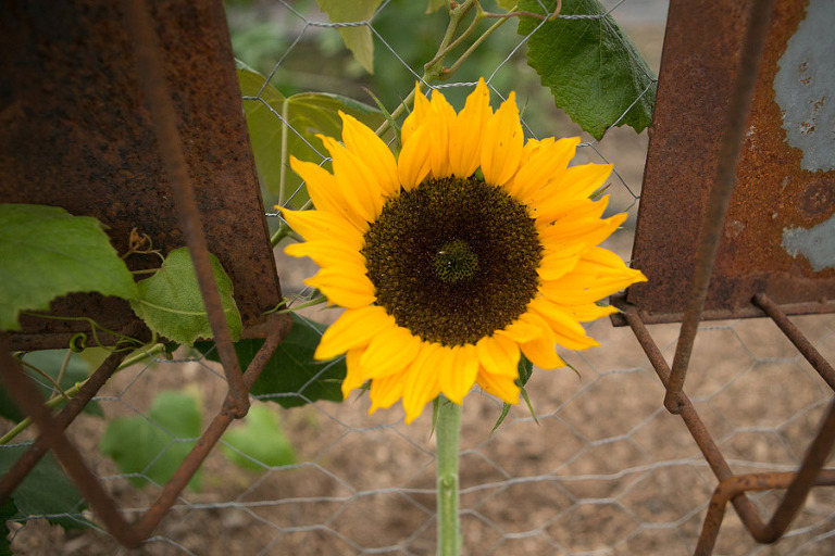 130-DundeeOregonPhotographer