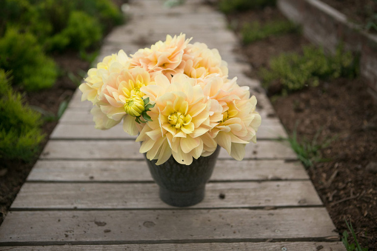 131-DundeeOregonPhotographer