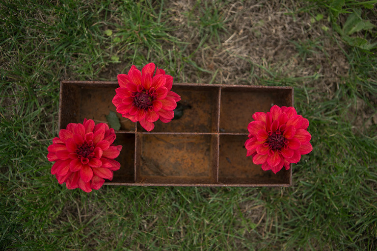 132-DundeeOregonPhotographer