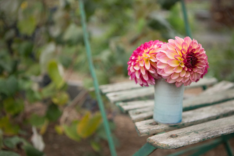 133-DundeeOregonPhotographer