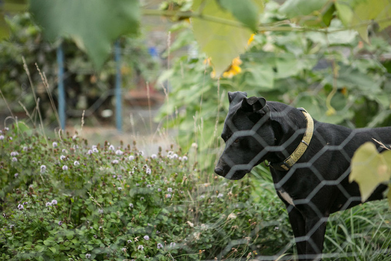 134-DundeeOregonPhotographer