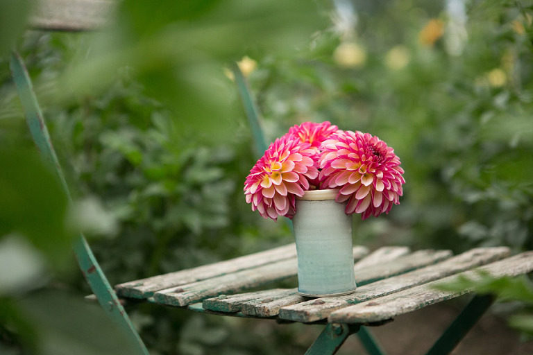 135-DundeeOregonPhotographer