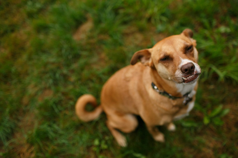 012-OregonbabyPhotographer