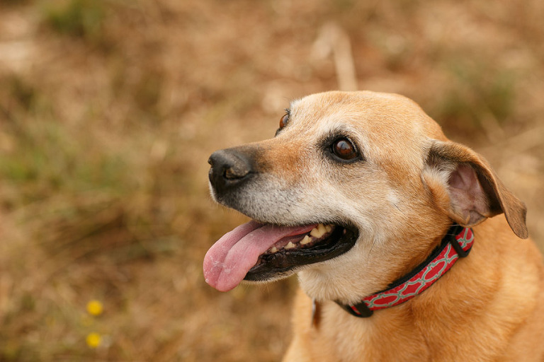 011-DundeeOregonPhotographer